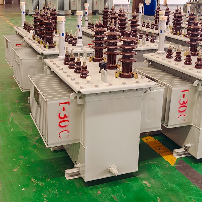 100 KVA Three Phase Oil Immersed Transformer best